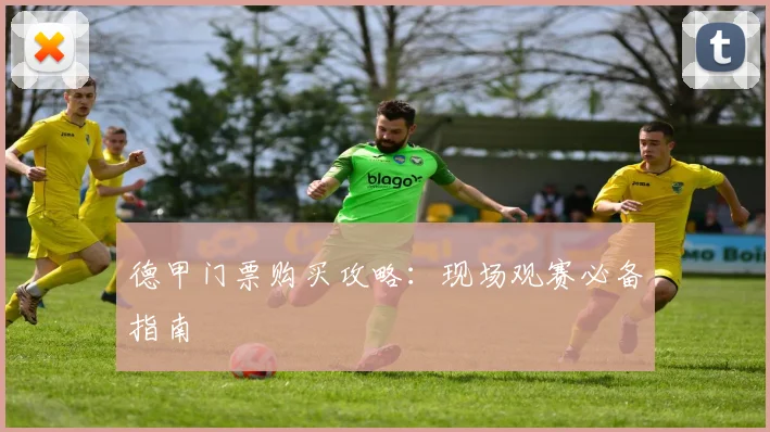 德甲门票购买攻略:现场观赛必备指南