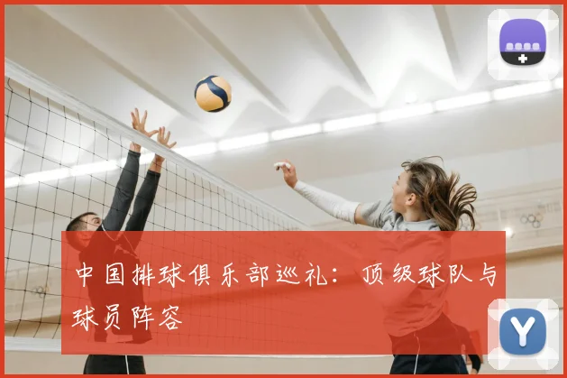 中国排球俱乐部巡礼:顶级球队与球员阵容