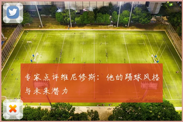 专家点评维尼修斯：他的踢球风格与未来潜力